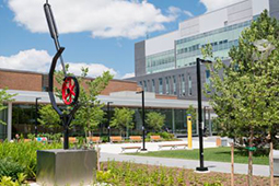 Humber College Campus